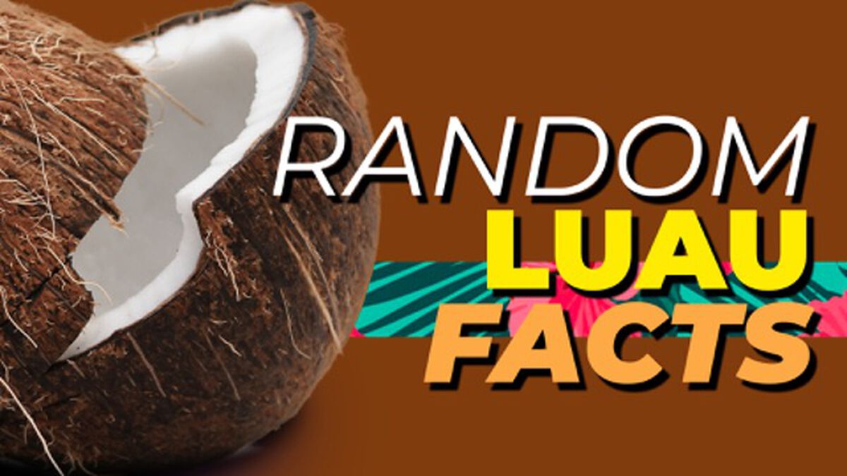 Random Luau Facts - Sidekick image number null